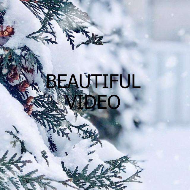 Красивое Видео