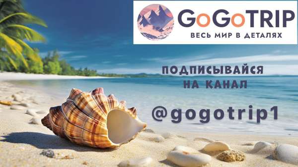 GoGoTrip