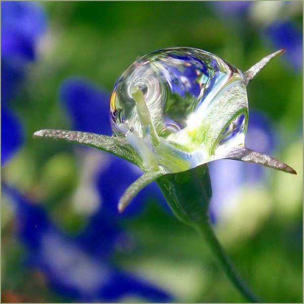 Хореографический коллектив Росинка